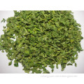 Dehydrated Celery Leaves